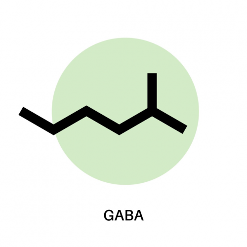 Gaba - Le GABA est un neurotransmetteur dit « apaisant » : il favorise le repos (nocturne) et la relaxation