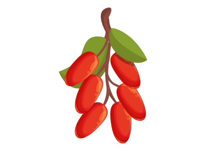 Berbérine - La berbérine est une molécule présente dans certaines plantes médicinales comme le coptide chinois, l’hydraste du Canada, l’agrémone mexicaine ou encore l’épine-vinette.