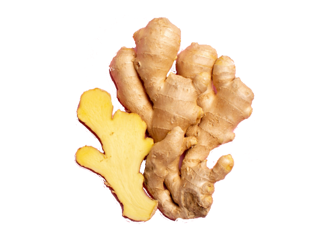 Gingembre - La phytothérapie chinoise recommande le gingembre contre les nausées, vomissements, refroidissements, les douleurs d’estomac et la toux grasse.