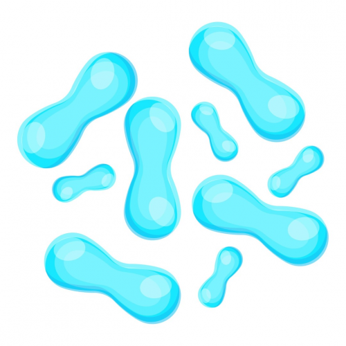 Lactobacillus Gasseri - Lactobacillus gasseri est une bactérie lactique qui fait partie du microbiote intestinal mais aussi buccal, vaginal et urinaire de l’homme.